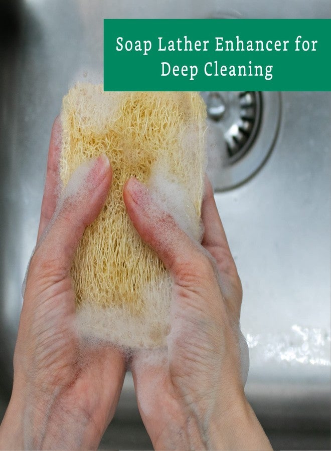 LooLife Natural Loofah Kitchen Sponge (3 Pack) - Natural Sponges for Dishes - Eco Friendly and Compostable Sponges - Plant Based Kitchen Dish Biodegradable Sponge - Image 4