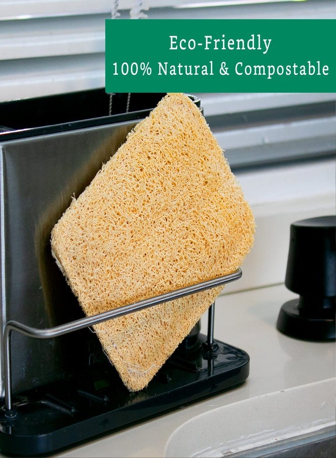 LooLife Natural Loofah Kitchen Sponge (3 Pack) - Natural Sponges for Dishes - Eco Friendly and Compostable Sponges - Plant Based Kitchen Dish Biodegradable Sponge - Image 5