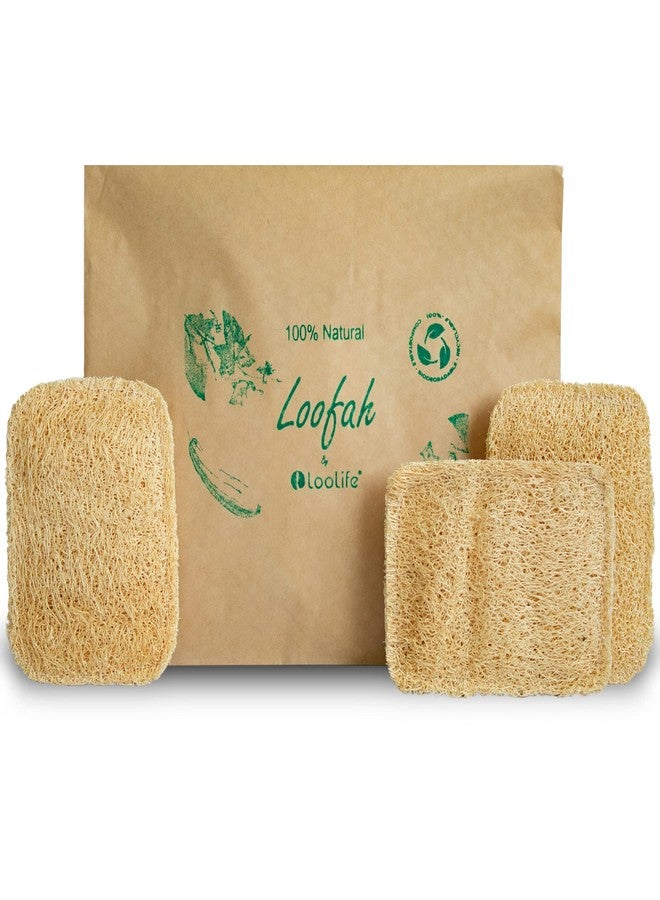 LooLife Natural Loofah Kitchen Sponge (3 Pack) - Natural Sponges for Dishes - Eco Friendly and Compostable Sponges - Plant Based Kitchen Dish Biodegradable Sponge - Image 1
