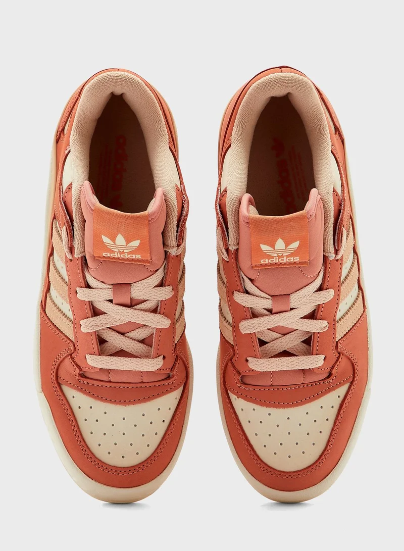 adidas Originals Forum Low Cl Shoes