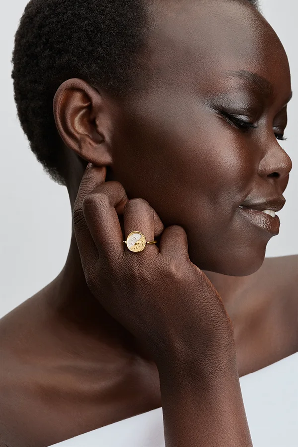 باندورا Pegasus Reversible Medallion Ring