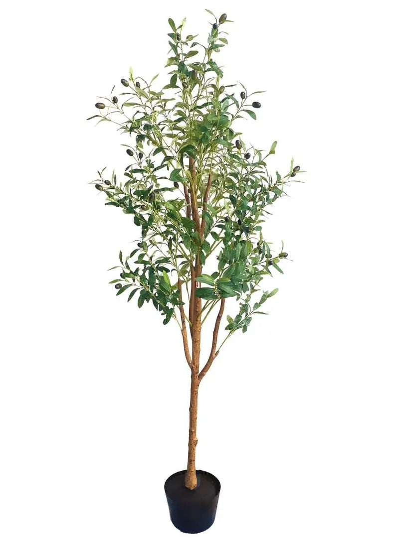 APEX - 6ft Artificial Olive Tree with Pot Indoor Outdoor Artificial Plant 180cm Tall Realistic Look Olive Tree Artificial Tree Simulation Olive Tree With Fruit and Adjustable Branches - Image 1