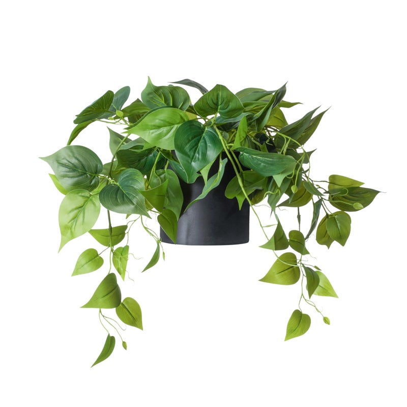 FOREVER LEAF FOREVER LEAF Small Pothos Artificial Plant Indoor Decorative Plant with Black Pot  Minimalist Style 1 Piece 5 x 5 x 7 inches Irregular Shape Faux Plants for Home  Office