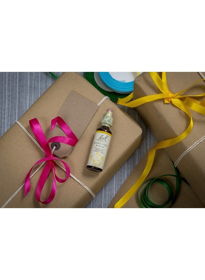 Bach Original Flower Remedies, Scleranthus for Decisiveness and Certainty, Natural Homeopathic Flower Essence, Holistic Wellness and Stress Relief, Vegan, 20mL Dropper - Image 3