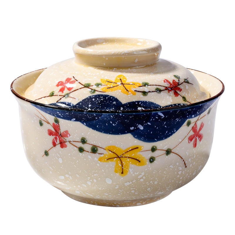Whitenesser Ramen Bowls with Lid Japanese Style 254 OZ Big Ceramic Instant Noodle Bowl with Lid for Soup Rice and Porridge Microwave Oven Safety