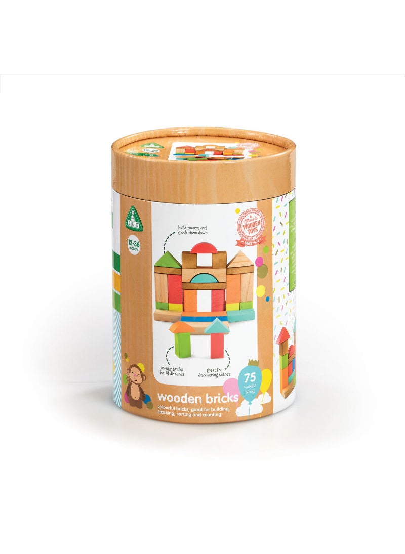 Early Learning Centre Wooden Bricks