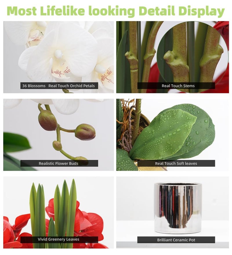 CXGS Artificial Orchid Flower Plants Real Touch Faux Orchids in Ceramic Vase 20.9'' White Phalaenopsis Orchid Fake Flower Arrangement Home Indoor Decor - Image 3
