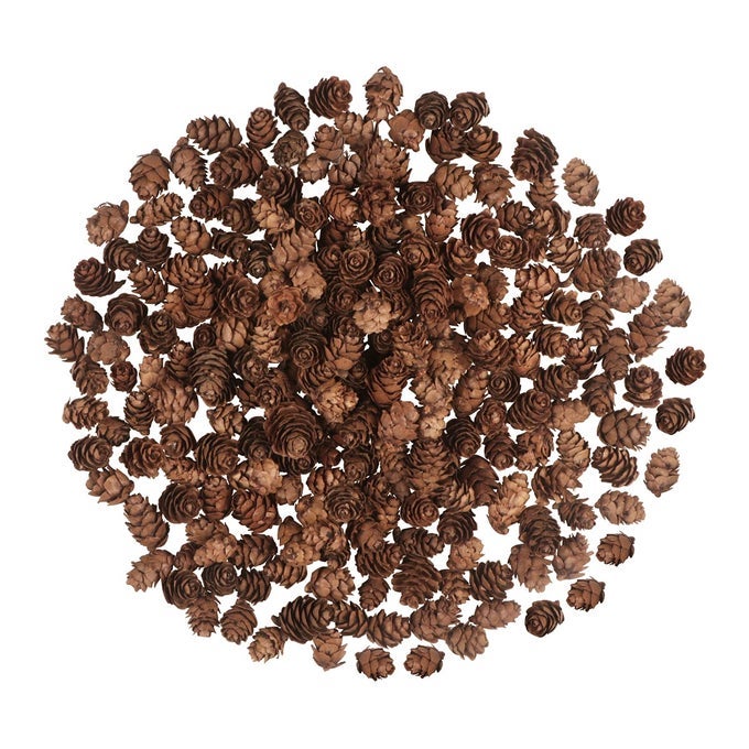 200PCS CHRISTMAS NATURAL PINE CONES MINI FALL DECORATIONS PINECONES ORNAMENTS BULK SMALL PINE CONES FOR DIY CRAFTS THANKSGIVING FALL WINTER CHRISTMAS WEDDING DECOR VASE FILLER DECOR