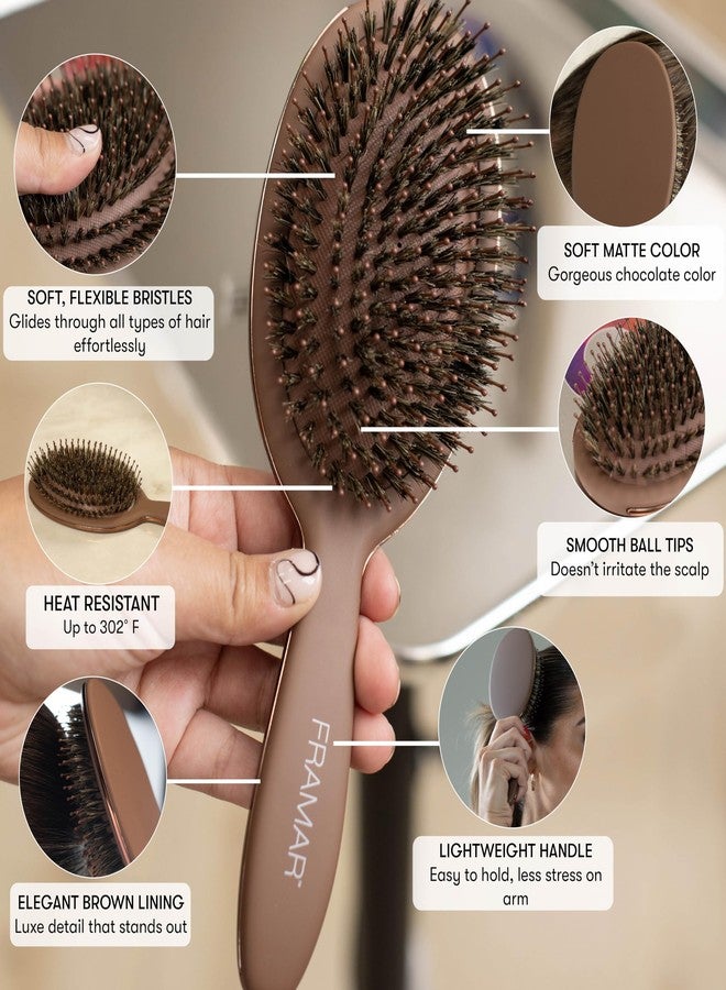 FRAMAR Soft Boar Bristle Hair Brush For Women - Boars Hair Brush For Women, Boar Brush For Fine Hair, Hairbrush For Fine Hair, Soft Bristle Brush For Slick Back, Volume and Shine - Chocolate - Image 2