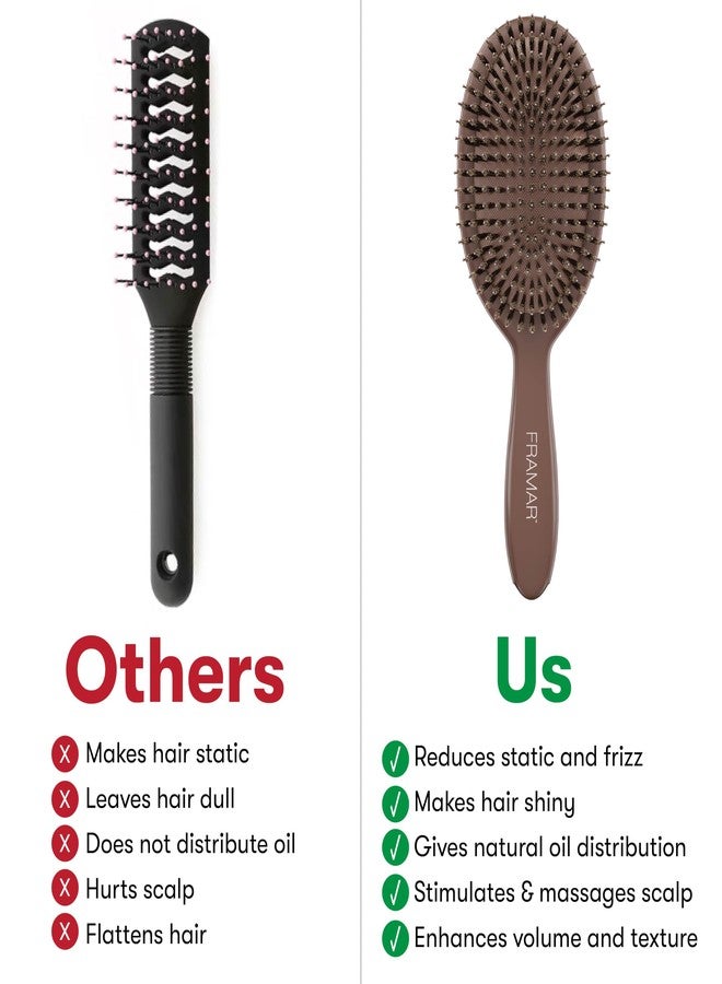 FRAMAR Soft Boar Bristle Hair Brush For Women - Boars Hair Brush For Women, Boar Brush For Fine Hair, Hairbrush For Fine Hair, Soft Bristle Brush For Slick Back, Volume and Shine - Chocolate - Image 5