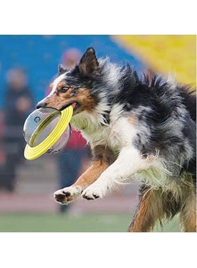 وحدة تغذية بطيئة للحيوانات الأليفة ولعبة تفاعلية للقطط والكلاب والجراء (متعددة الألوان) - Image 4