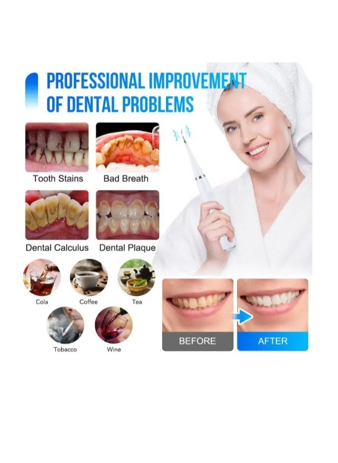 OASIS-TH - Electric Toothbrush Ultrasonic Tooth Cleaner Teeth Stains Plaque Remover 6 in 1 black - Image 1