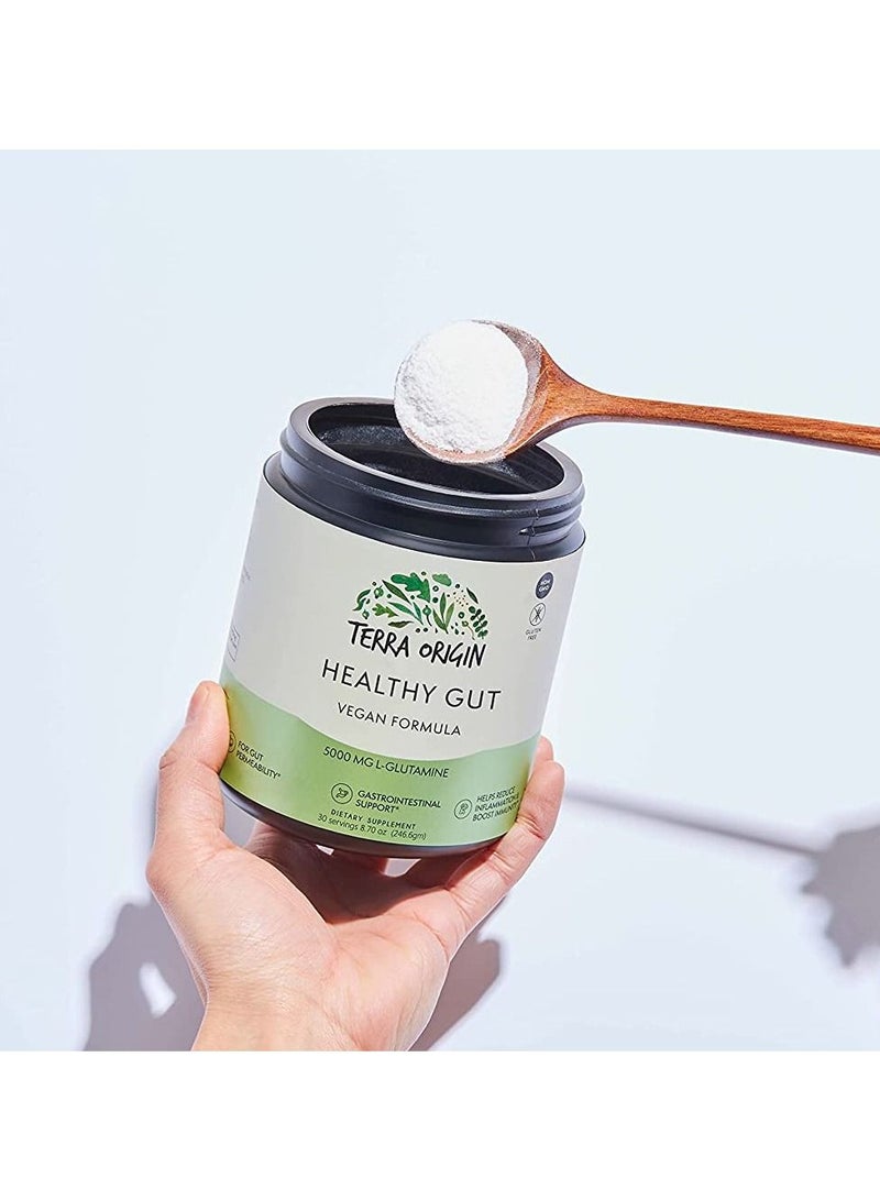 TERRA ORIGIN Healthy Gut 8.7 oz (246.6 g) - Image 2