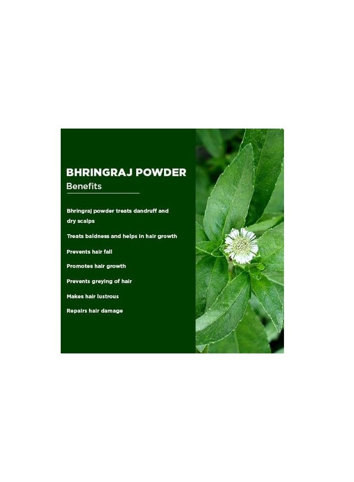 مملكة الإكسسوارات مسحوق بهرينجراج (100 غرام) - مسحوق عشبي طبيعي 100% | يعزز نمو الشعر ويحافظ على صحة فروة الرأس | يقوي جذور الشعر، ويقلل من تساقطه وقشرة الرأس - Image 3