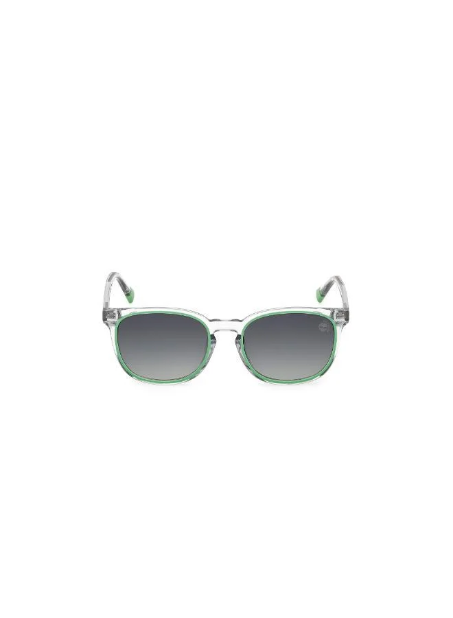 Timberland Wayfarers Sunglasses