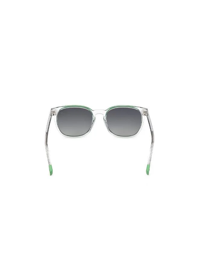 Timberland Wayfarers Sunglasses