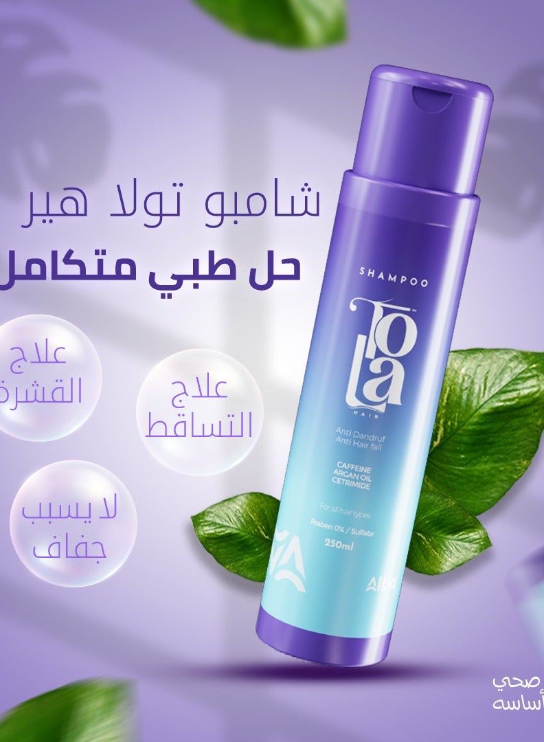 تولا هير شامبو كبار - Image 2