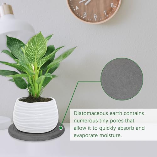 Creproly Plant Saucer Flower Pot Saucers Plant Trays for Pots Instant Dry Diatomaceous Earth Round Plant Drip Trays for Indoors Keeping Counter and Floors Dry and Clean (2Pcs Grey Small) - Image 5