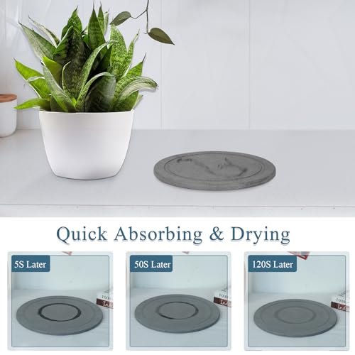 Creproly Plant Saucer Flower Pot Saucers Plant Trays for Pots Instant Dry Diatomaceous Earth Round Plant Drip Trays for Indoors Keeping Counter and Floors Dry and Clean (2Pcs Grey Small) - Image 3