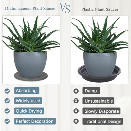 Creproly Plant Saucer Flower Pot Saucers Plant Trays for Pots Instant Dry Diatomaceous Earth Round Plant Drip Trays for Indoors Keeping Counter and Floors Dry and Clean (2Pcs Grey Small) - Image 4