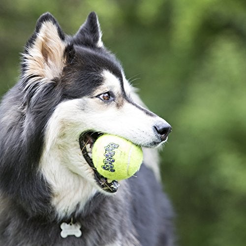 KONG - Squeakair® Balls - Dog Toy Premium Squeak Tennis Balls, Gentle on Teeth - for Small Dogs (3 Pack) - Image 2