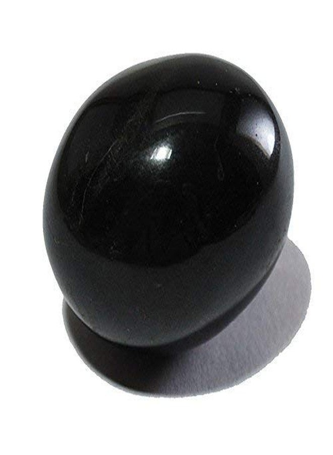 N/P NP Shivling Lingam Shaligram Shila Salagram Stone Saligramam Murti of Gandak (Black, Standard) - Image 1