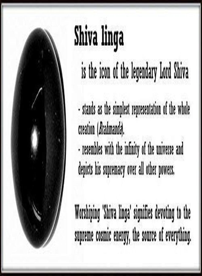 N/P NP Shivling Lingam Shaligram Shila Salagram Stone Saligramam Murti of Gandak (Black, Standard) - Image 2