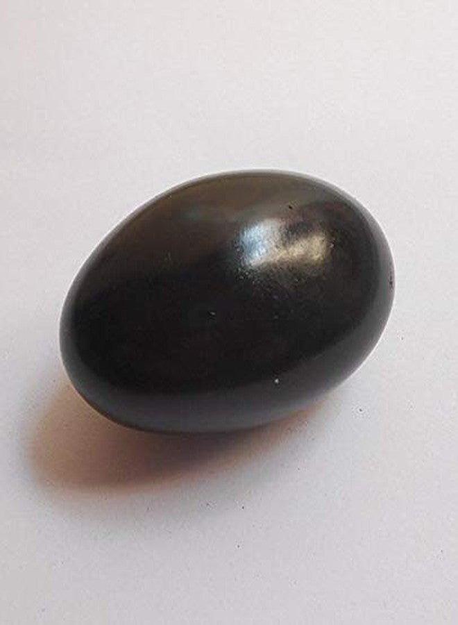 N/P NP Shivling Lingam Shaligram Shila Salagram Stone Saligramam Murti of Gandak (Black, Standard) - Image 3