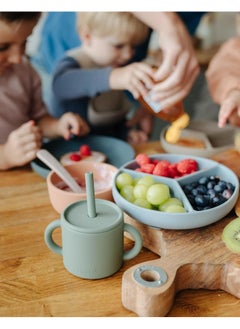 Silicone Sippy Cup With Straw For Babies And Toddlers , Non Spill And Leak Proof Baby Weaning Cup, Easy Grip Handles, Dishwasher And Microwave Safe Ash Rose - pzsku/ZDFA6EE0549457C552A48Z/45/_/1734417372/21f5f7e2-838c-447a-a307-9be0fa6b53d3