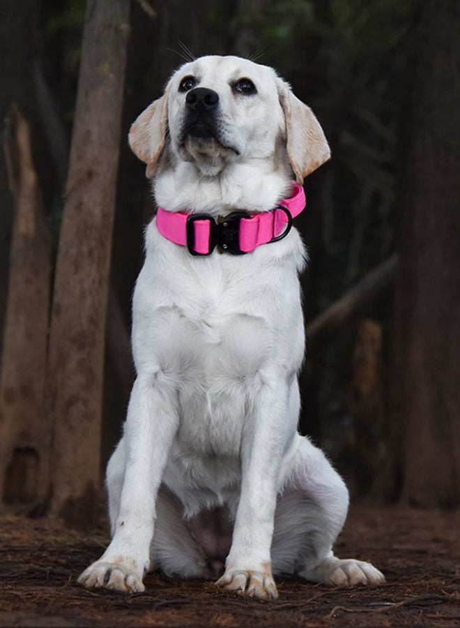Aecllcea Tactical Dog Collar for Medium Large Dogs, Heavy Duty Dog Collars With Handle, Metal Buckle Dog Training Collar, Thick Dog Collar for Male, Large Dog Collar, Military Dog Collar. (M, Magenta) - Image 2