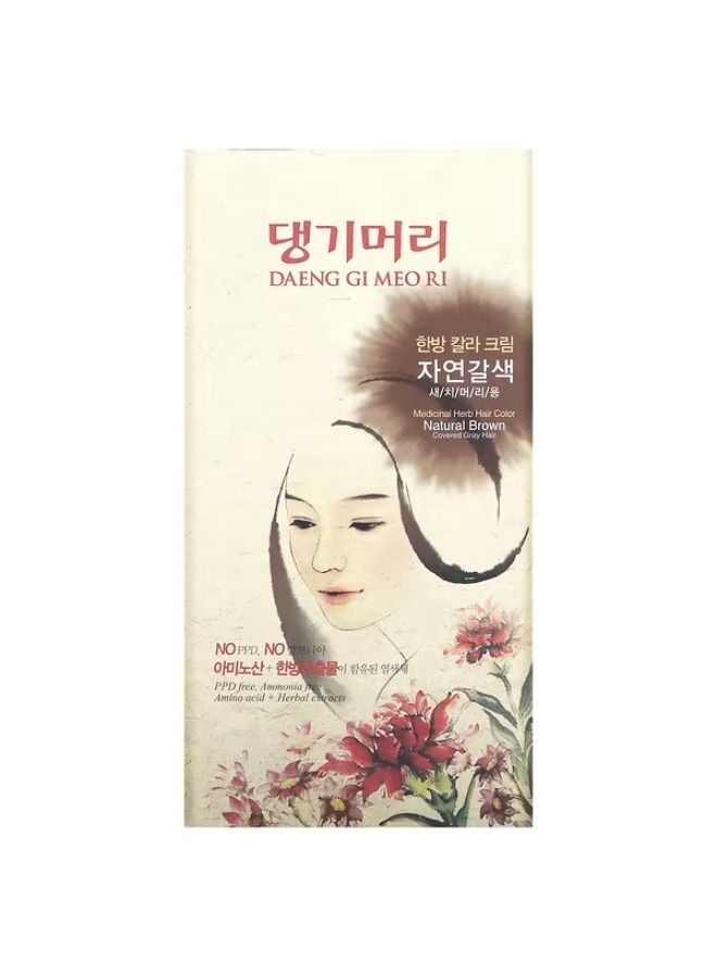 DOORI COSMETICS Doori Cosmetics, Daeng Gi Meo Ri, Medicinal Herb Hair Color, Natural Brown, 1 Kit