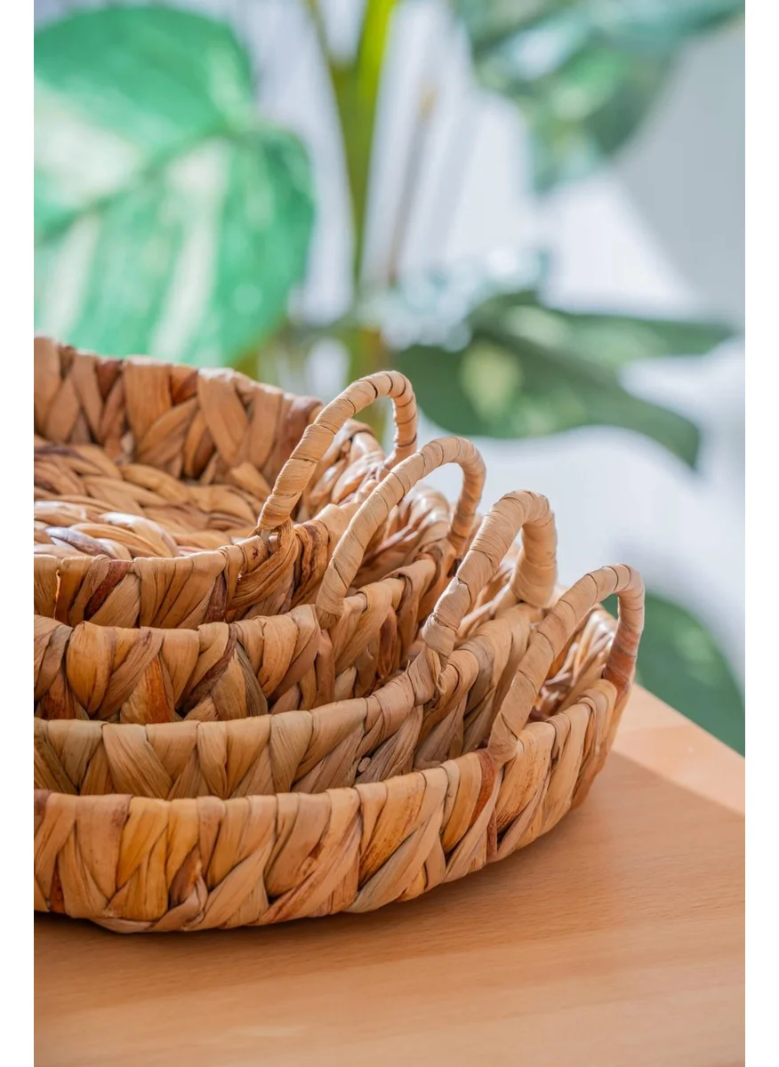 Acar Wicker 4 Piece Wicker Oval Basket