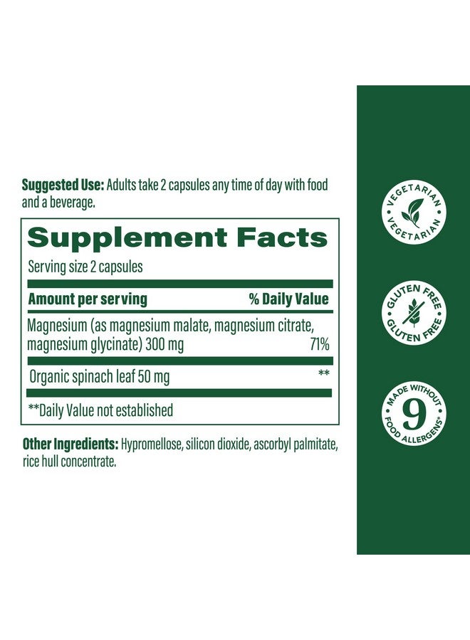 ميغافود ميجا فود مغنيسيوم ٣٠٠ ملغ - مزيج عالي الامتصاص من جليسينات المغنيسيوم، سترات، ومالات لدعم صحة القلب والأعصاب والاسترخاء - ٦٠ كبسولة (٣٠ حصة) - Image 3