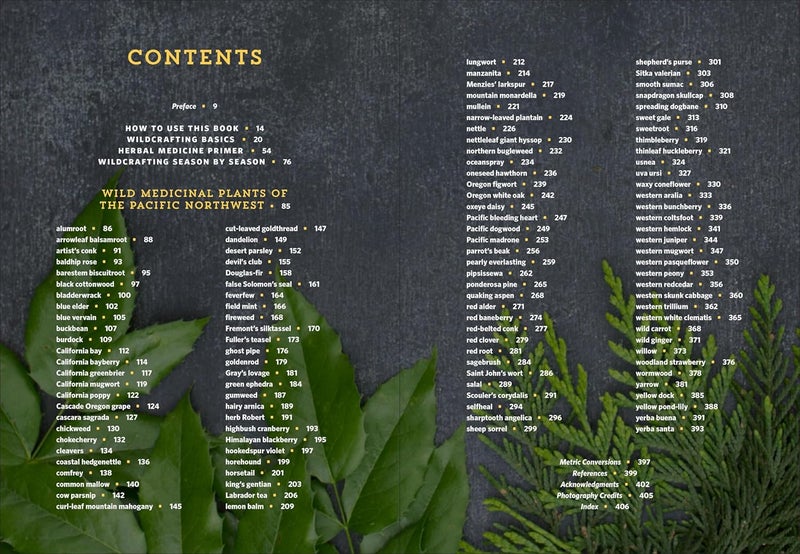Pacific Northwest Medicinal Plants: Identify, Harvest, and Use 120 Wild Herbs for Health and Wellness (Medicinal Plants Series) - Image 4