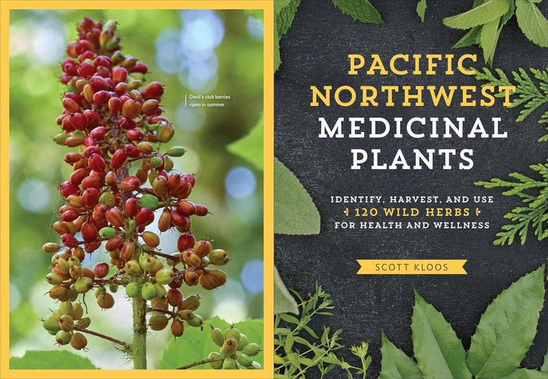 Pacific Northwest Medicinal Plants: Identify, Harvest, and Use 120 Wild Herbs for Health and Wellness (Medicinal Plants Series) - Image 3