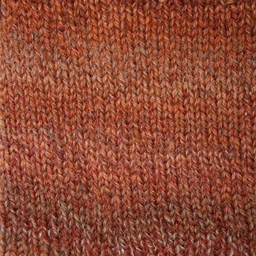 Patons Yarn K-Musculo Patons Kroy Socks FX Yarn, 2-Pack, Copper Colors - Image 2
