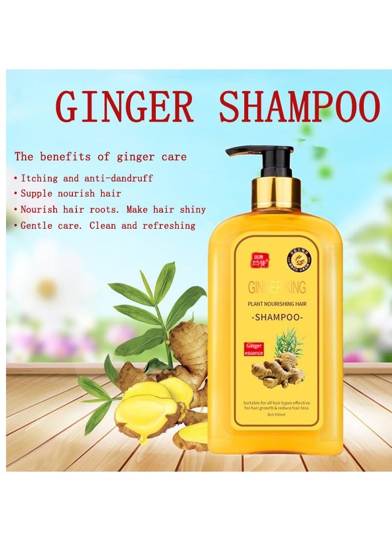 Ginaday Instant Ginger Hair Regrowth Shampoo, Anti-Hair Loss (500ML/1PCS) - pzsku/ZDFA93F4DAFD06E7659DAZ/45/_/1732111800/15c030e4-65fb-4129-b4cb-9fd0dc8398b8