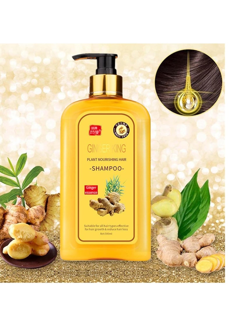 Ginaday Instant Ginger Hair Regrowth Shampoo, Anti-Hair Loss (500ML/1PCS) - pzsku/ZDFA93F4DAFD06E7659DAZ/45/_/1732111844/39705522-c255-4ea9-a10f-0a6bef27bf8a