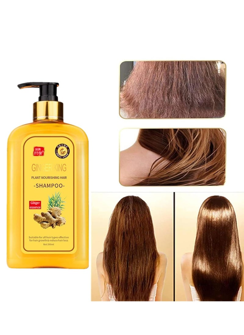 Ginaday Instant Ginger Hair Regrowth Shampoo, Anti-Hair Loss (500ML/1PCS) - pzsku/ZDFA93F4DAFD06E7659DAZ/45/_/1732111851/8d74a0cb-a856-47e9-af42-5866647e2f3d