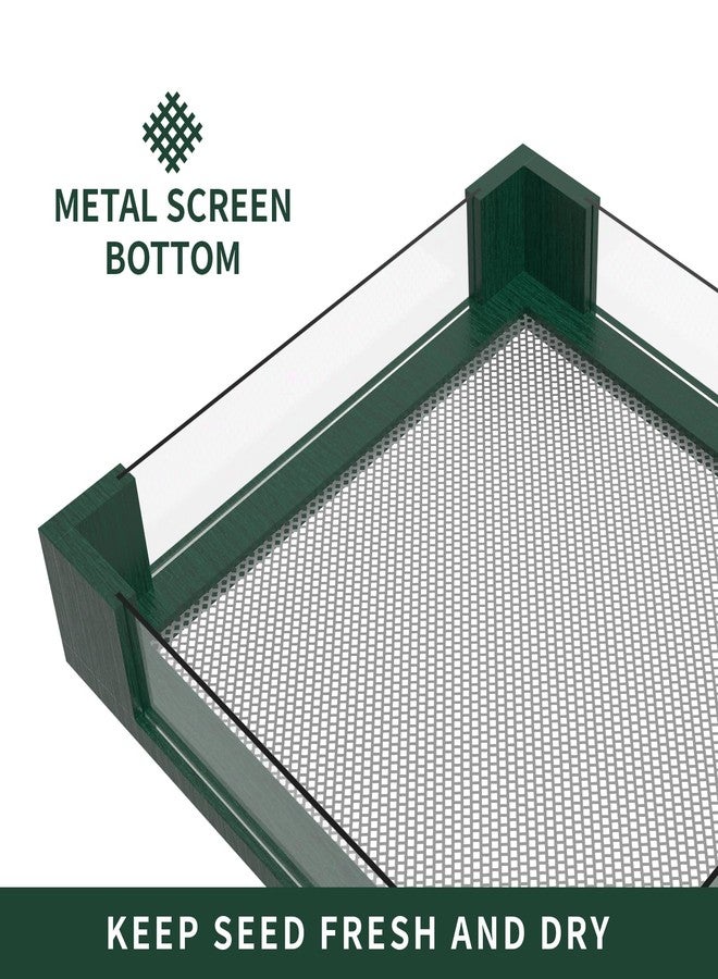 FlowaFoli Platform Bird Feeders for Outdoors - Clear View Hanging Bird Feeder with Acrylic Side Panels, Easy to Observe Birds & Seed Level, Garden Decoration Attracts Cardinal, Blue Jay, Green - Image 4