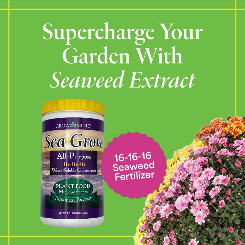 Grow More Sea Grow Kelp Fertilizer - 1.5lbs of 16-16-16 Water-Soluble, All-Purpose Plant Food - Nutrient-Rich, Seaweed Fertilizer - Outdoor & Indoor Plant Food - Image 2