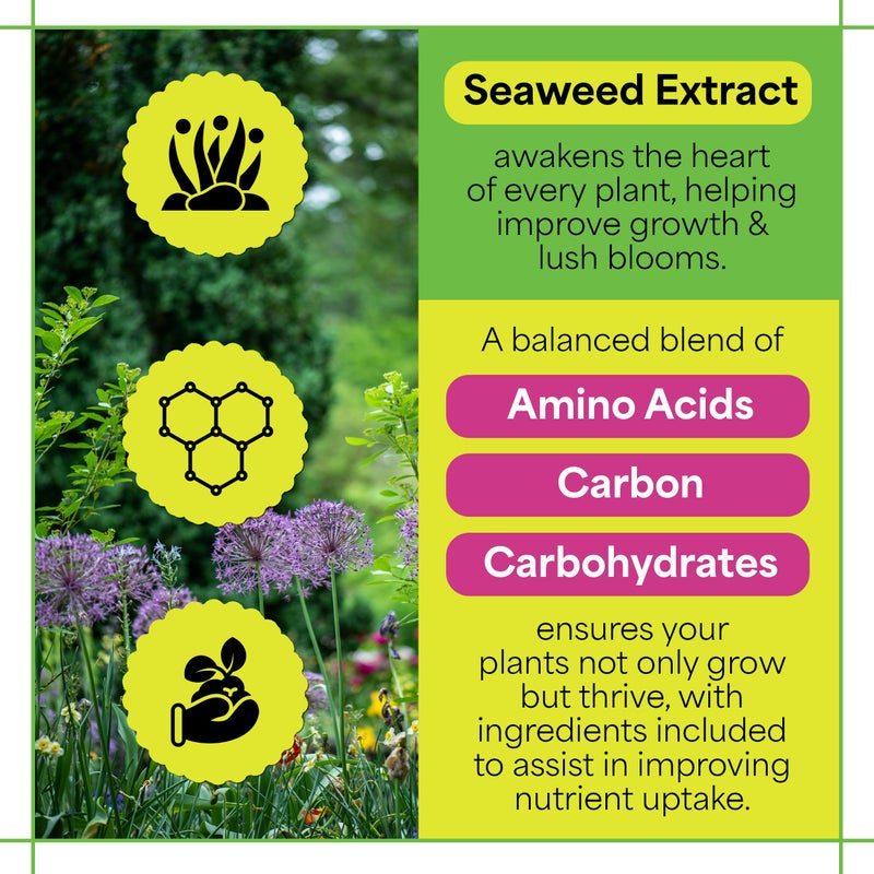 Grow More Sea Grow Kelp Fertilizer - 1.5lbs of 16-16-16 Water-Soluble, All-Purpose Plant Food - Nutrient-Rich, Seaweed Fertilizer - Outdoor & Indoor Plant Food - Image 3