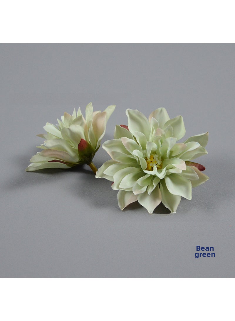 Generic 1 x 5 pcs Nordic Dahlia Artificial Succulent Halo Bean Green 