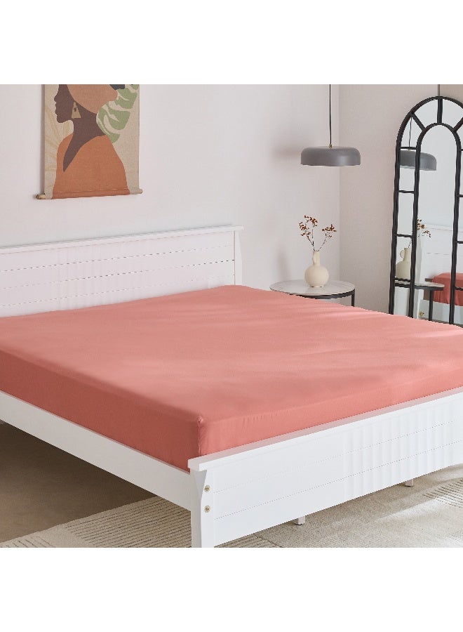 Home Box Derby Solid Microfiber Olympic Queen Fitted Sheet 160 X 200 X 25 Cm - Image 2