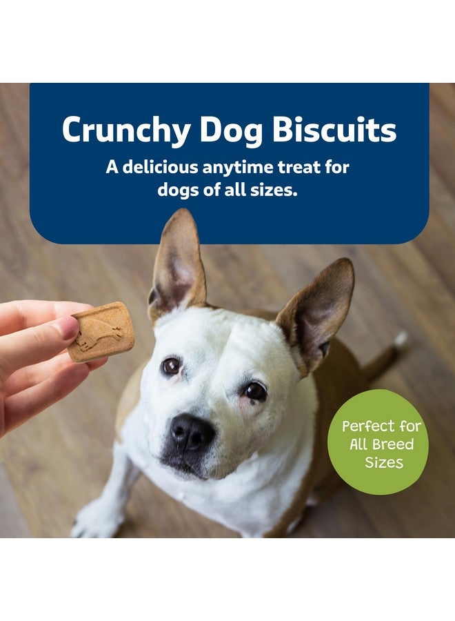 بلو بافلو ألواح بلو بافالو الصحية الصغيرة، بسكويت الكلاب المقرمش، مخبوز في الفرن بمكونات طبيعية، تفاح وزبادي، علبة ٢ رطل - Image 4