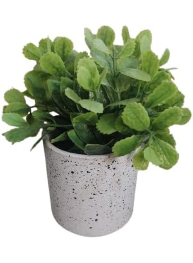 MySouqEg.Store قطعة واحدة - نبتة اصطناعية في وعاء - نبتة بأوراق عريضة صناعية خضراء في وعاء مزخرف لديكور المنزل والمكتب. - Image 1