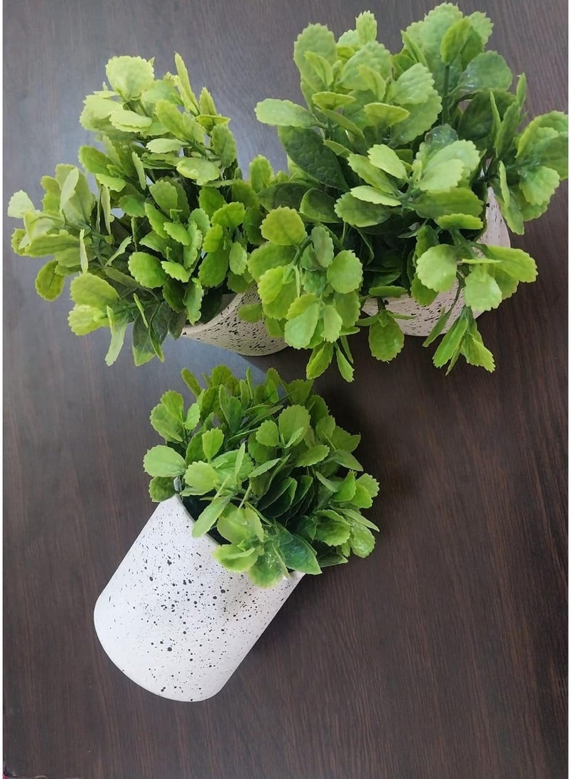 MySouqEg.Store قطعة واحدة - نبتة اصطناعية في وعاء - نبتة بأوراق عريضة صناعية خضراء في وعاء مزخرف لديكور المنزل والمكتب. - Image 5