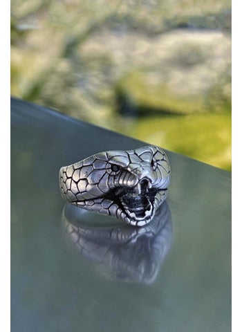 Cobra Snake Head Model Adjustable Silver Plated Ring - pzsku/ZDFAC960255DFB672B734Z/45/_/1742481574/0ae57c8a-4ba5-4d95-a389-e36725691330