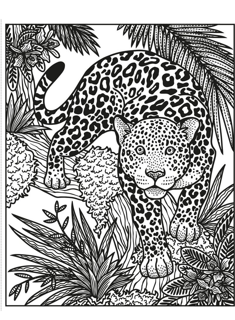 Usborne Wild Animals Magic Painting Book: Watercolor Art for Kids, Exotic Wild Animal Scenes, Magic Painting for Children, Safari and Jungle Animals - Image 2
