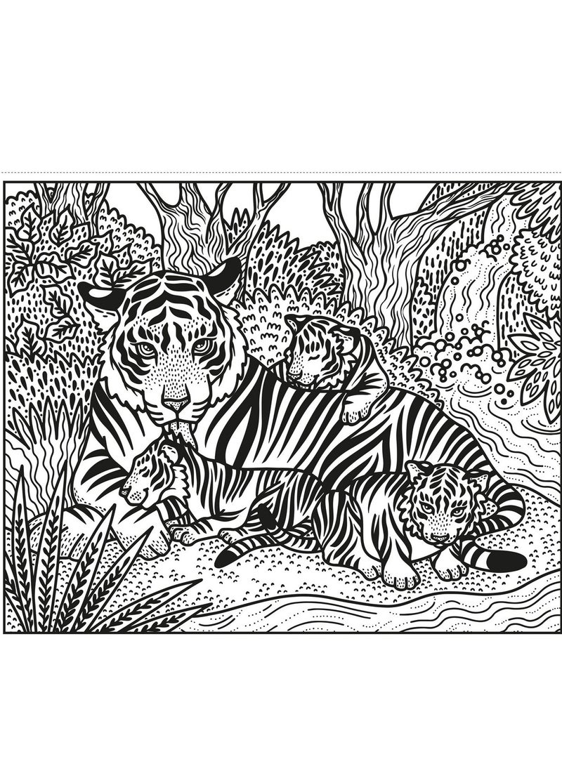 Usborne Wild Animals Magic Painting Book: Watercolor Art for Kids, Exotic Wild Animal Scenes, Magic Painting for Children, Safari and Jungle Animals - Image 5